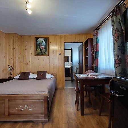Apartamenty "U Blizniakow" Закопане Экстерьер фото
